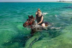 14 Days Cairo & Hurghada & Alexandria and Nile Cruise
